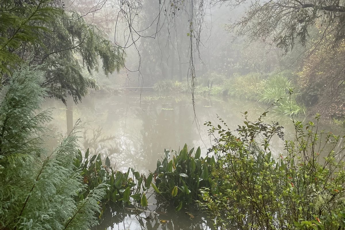 Western Hills Garden